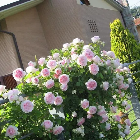 Zia Bed & Breakfast Calci